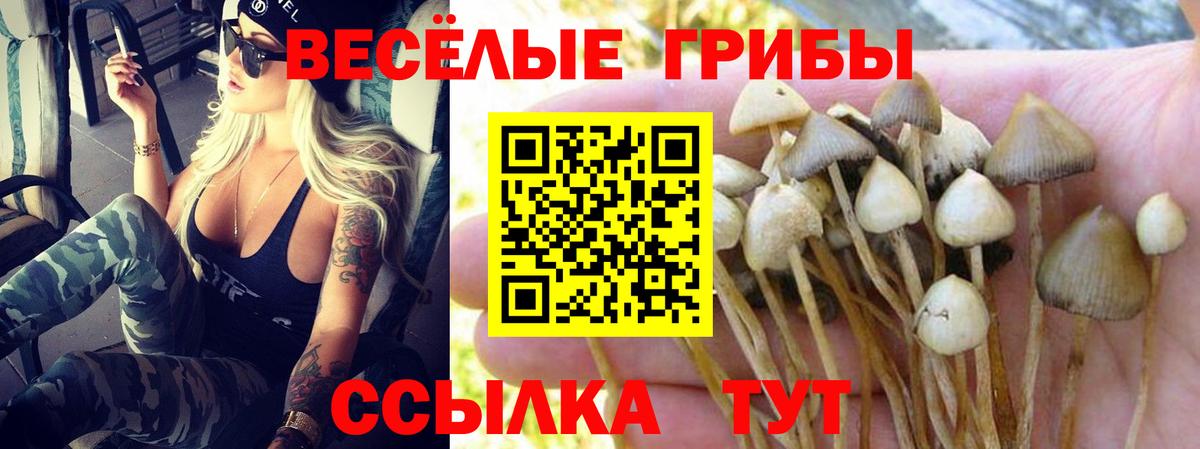 Галлюциногенные грибы GOLDEN TEACHER  Вход с VPN  Галлюциногенные грибы мицелий  где найти   Магадан 